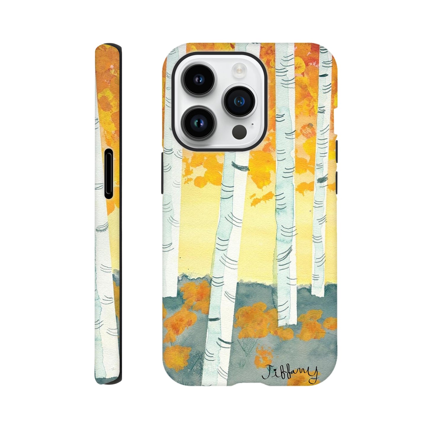 177d5cd0-f5a0-4975-968d-157f6604d335