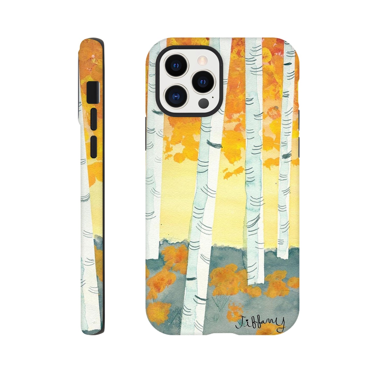 87d498a4-959d-4ceb-99a5-aa3ad4c1b9bf