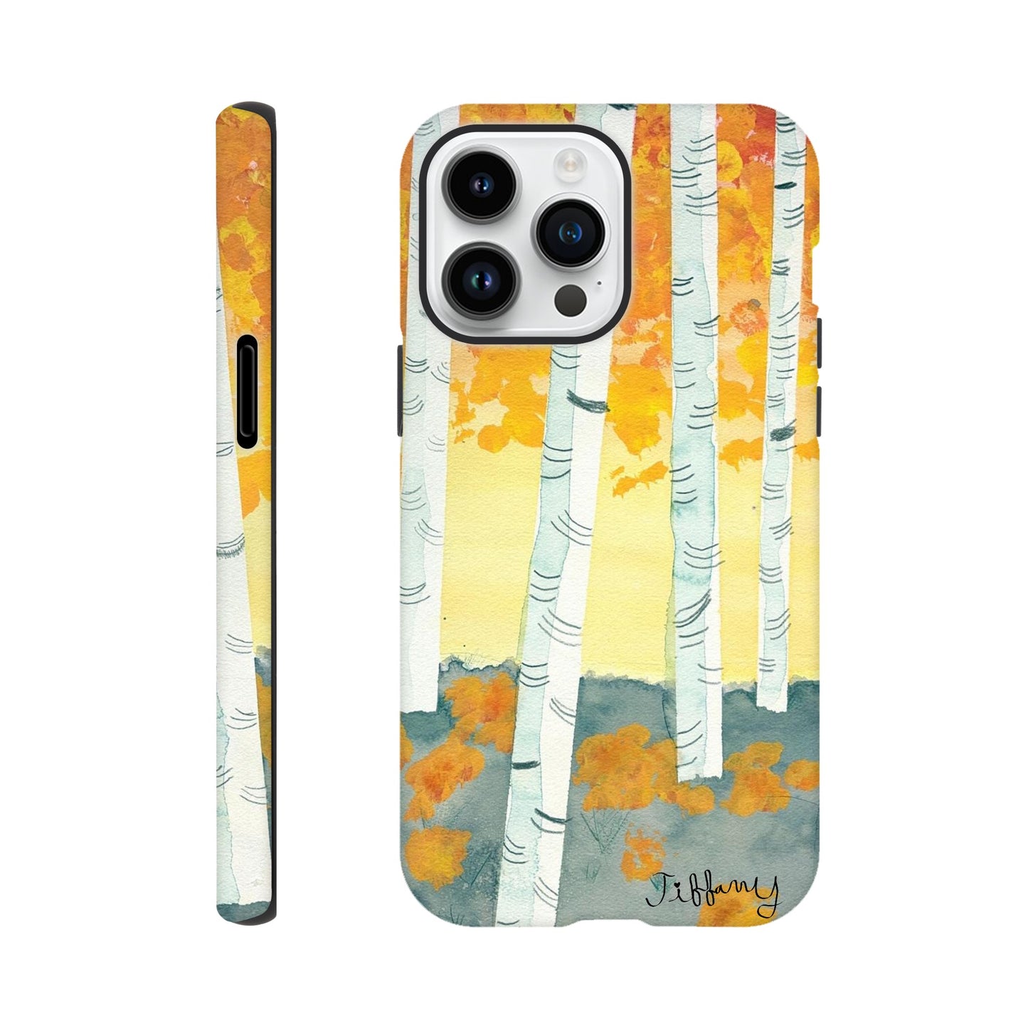 9f679c09-803c-4120-a681-476328268f8c