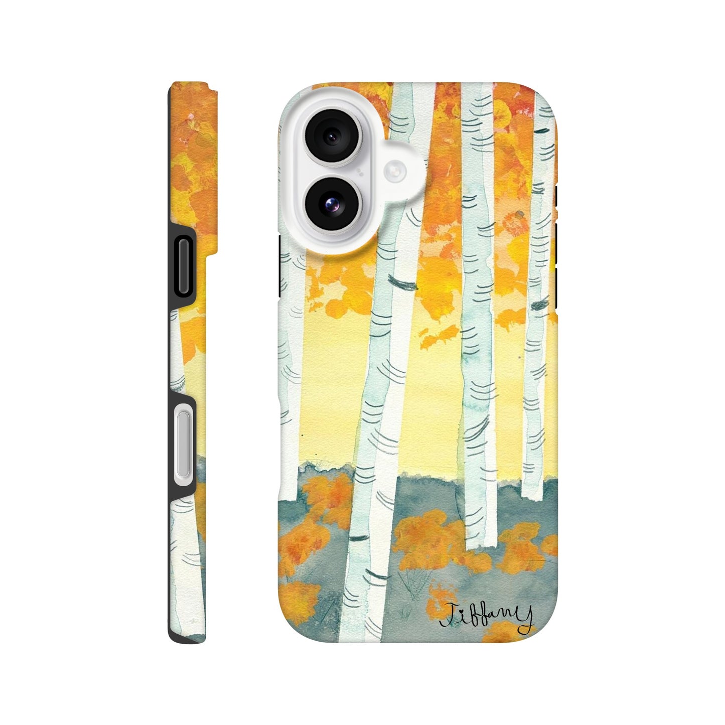 d5e1ef8f-cad0-4aac-8df7-8fda378c3095