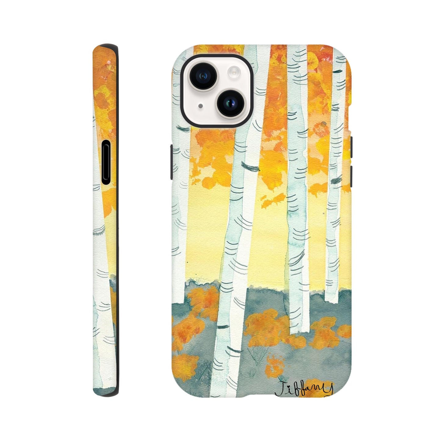 fa13ca2b-1add-4490-ba41-7513ab858dc8